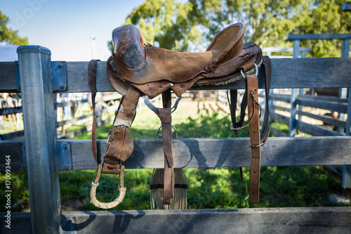 Rodeo Saddle