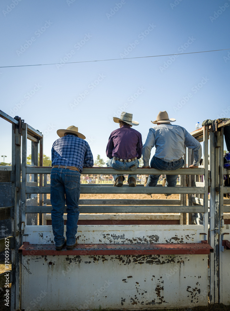 watching the Rodeo watching the Rodeo