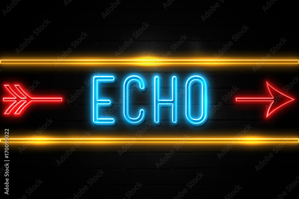 Echo  - fluorescent Neon Sign on brickwall Front view