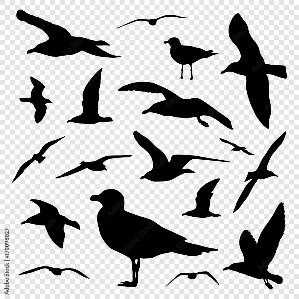 Obraz premium Black silhouette set of seagull on transparent background vector