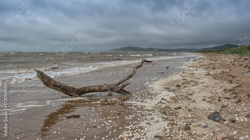 Seascape of a piece of driftwood on a deserted beach with a stormy sky on the west coast of scotland