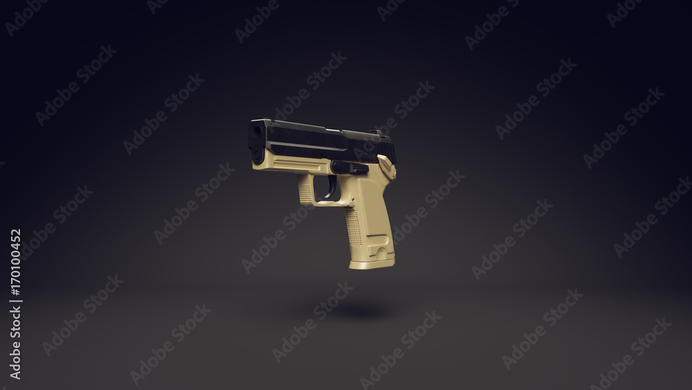Pistol Pistol