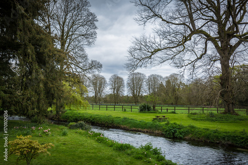 the blarney castle park 3