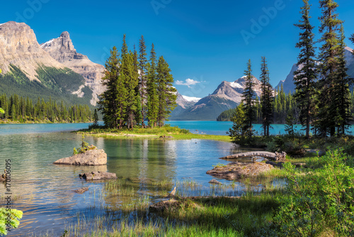 Obraz na płótnie Spirit Island in Maligne Lake, Jasper National Park, Alberta, Canada w salonie