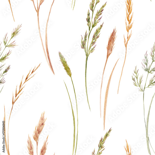 Wild field grass pattern
