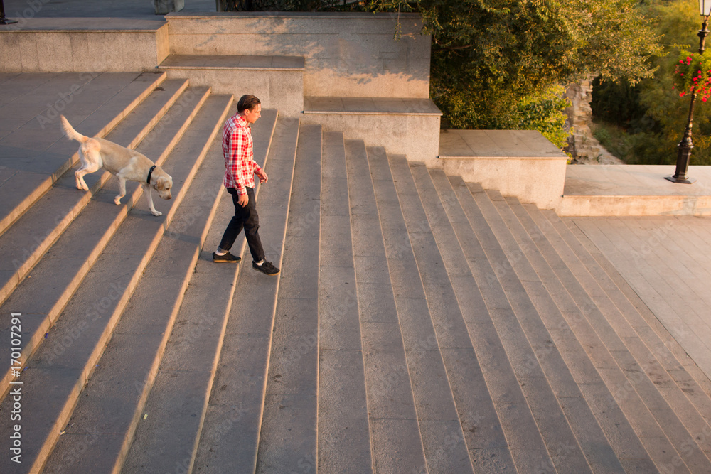 Morning walk of young male and gold labrador dog on the big city stairs at morning  