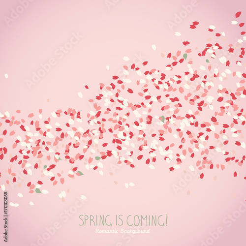 Spring is coming. Sakura petals. Japanese Culture. Wavy romantic postcard. Floral poster concept. Scatter. Floral background with copy space. Hanami. Japanese Culture. Frame for text.