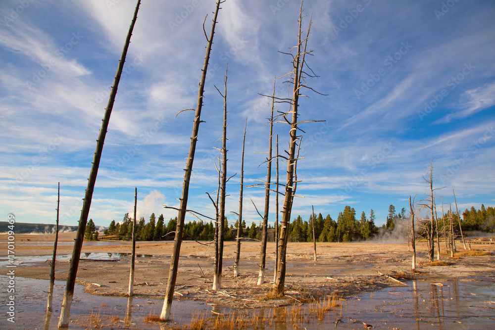 Lower geyser basin