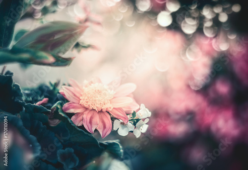 Fototapeta Naklejka Na Ścianę i Meble -  Beautiful  floral background with bokeh, frame