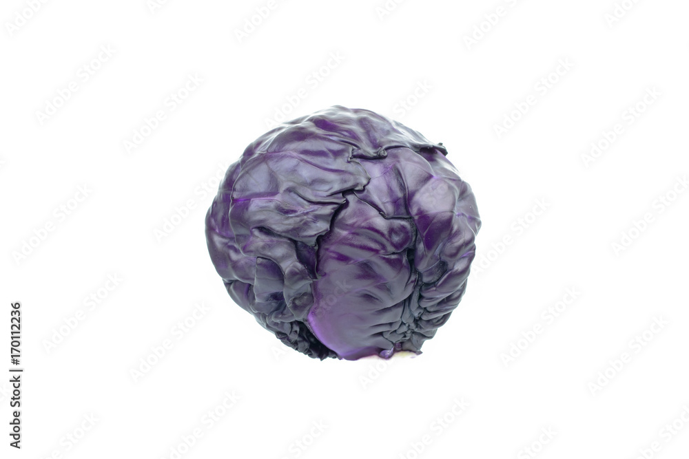 Purple cabbage isolated on white background Purple cabbage isolated on white background