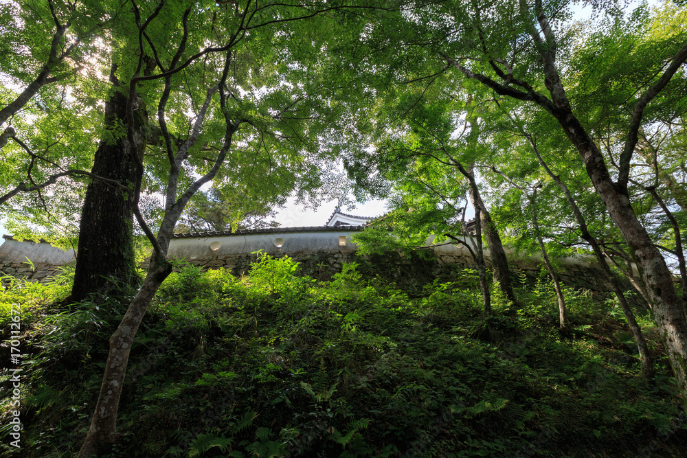 Fototapeta premium 備中松山城 石垣・土塀 -天守が残る日本で唯一の山城-