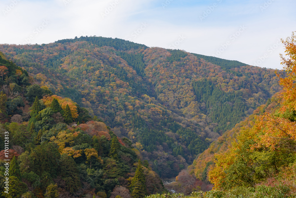 Autumn at Arashiyama view point