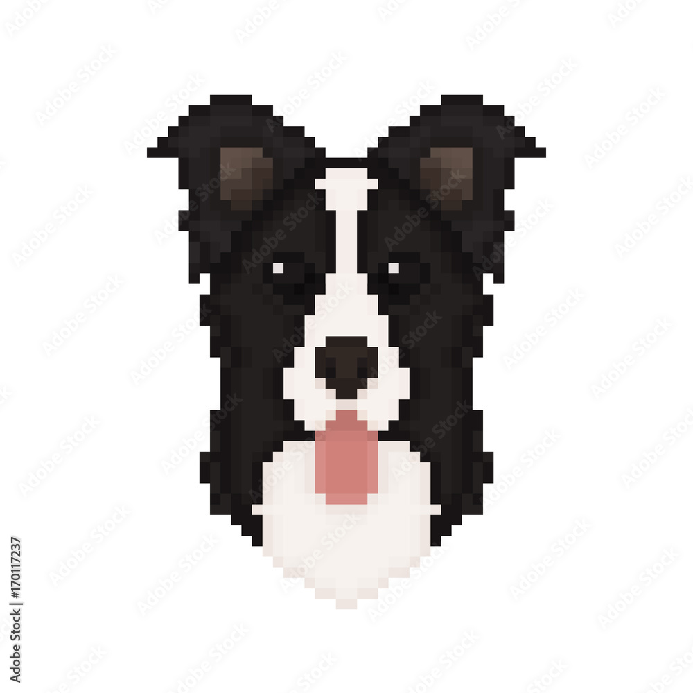 Border Collie dog head in pixel art style. Vector illustration.