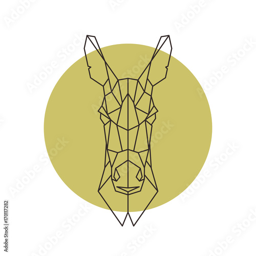 Geometric head of donkey. Vector illustration.