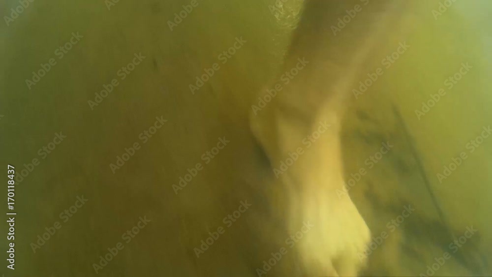 Underwater footsteps of a man in mountain river Underwater footsteps of a man in mountain river
