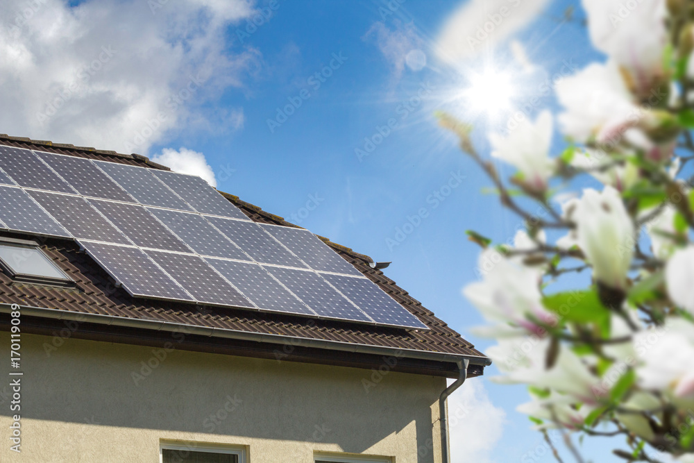 Fototapeta premium Hausdach mit Solarzellen und Magnolienbaum im Vordergrund