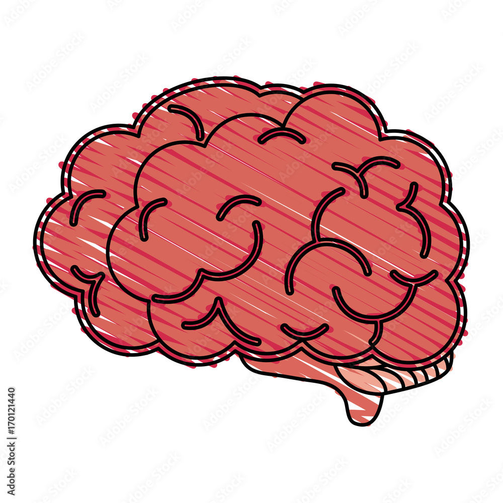 Brain icon Human organ mind and science theme Isolated design Vector illustration Brain icon Human organ mind and science theme Isolated design Vector illustration