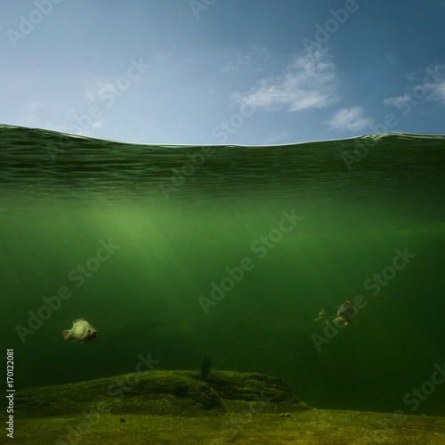 Underwater, fishing background with copy space
