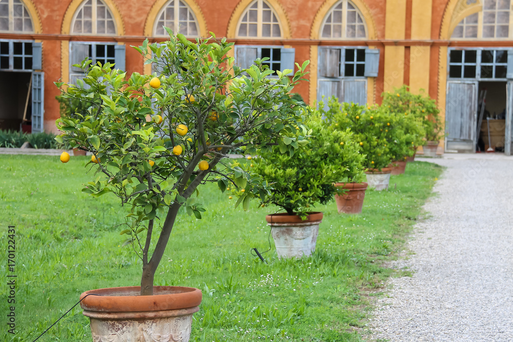 Baroque palace and park of Villa Sorra. Castelfranco Emilia, Modena, Italy Baroque palace and park of Villa Sorra. Castelfranco Emilia, Modena, Italy