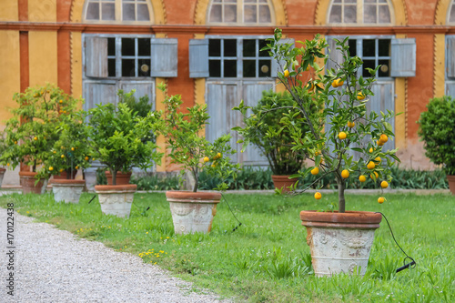 Baroque palace and park of Villa Sorra. Castelfranco Emilia, Modena, Italy