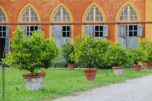 Baroque palace and park of Villa Sorra. Castelfranco Emilia, Modena, Italy photo