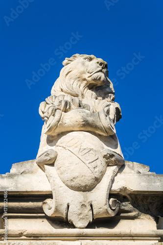 Lion Statue in Arles - France