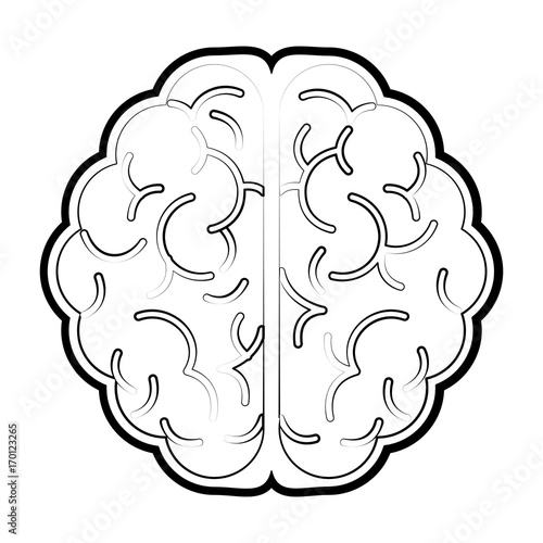 Brain icon Human organ mind and science theme Isolated design Vector illustration