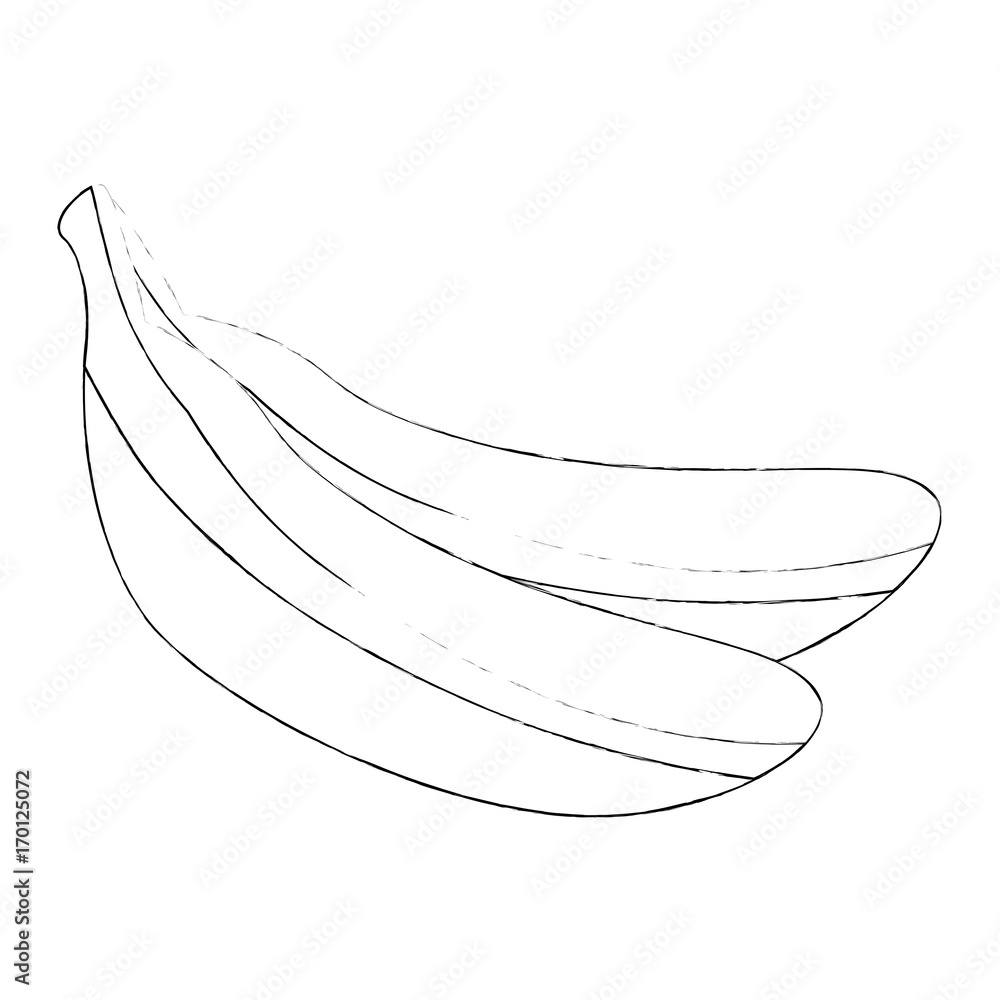 bananas fruit icon over white background vector illustration