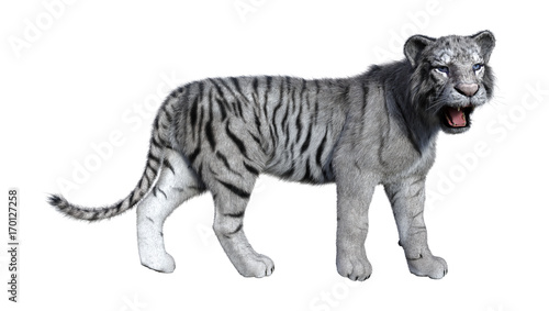 Fototapeta Naklejka Na Ścianę i Meble -  3D Rendering White Tiger on White