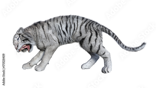 Fototapeta Naklejka Na Ścianę i Meble -  3D Rendering White Tiger on White