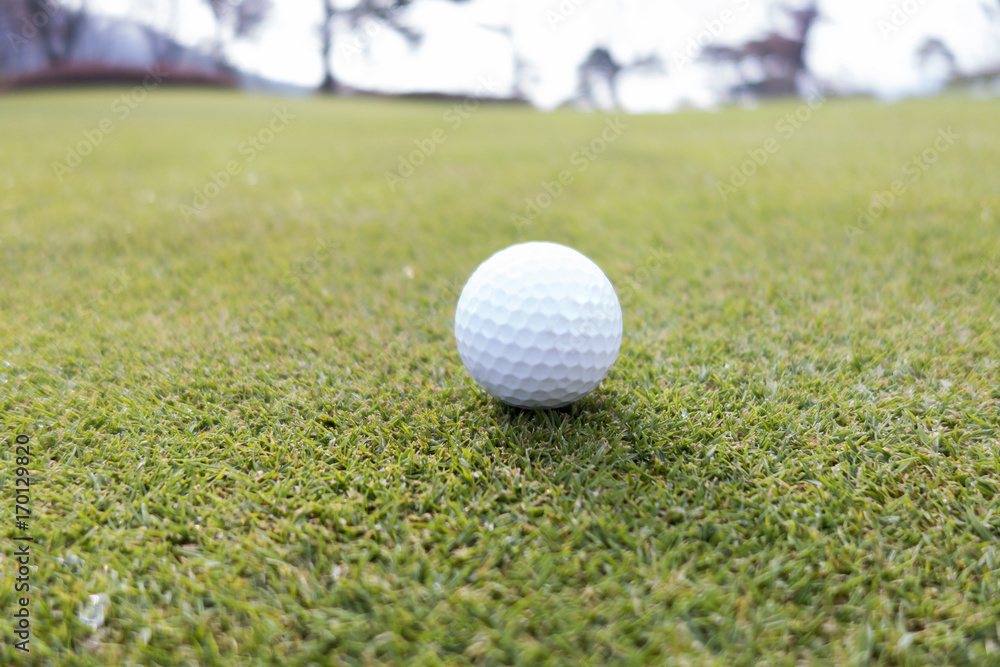 golf golf
