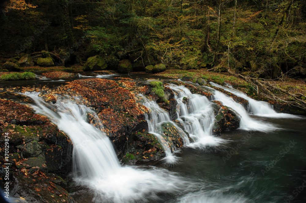 Fototapeta premium 菊池渓谷