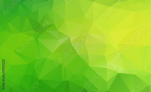 Abstract polygonal illustration, which consist of triangles. Triangular design for your business. Geometric background