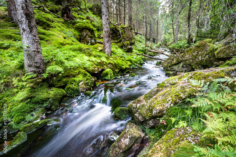 Water flow in a stream, long exposure