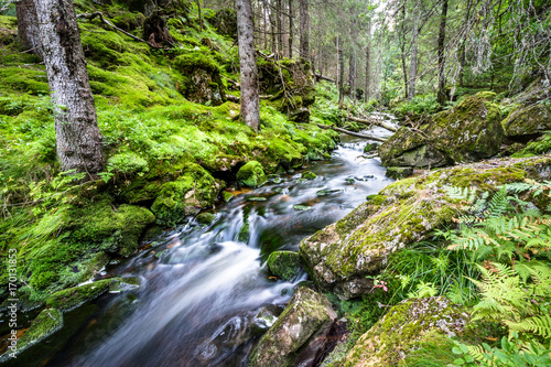 Water flow in a stream, long exposure
