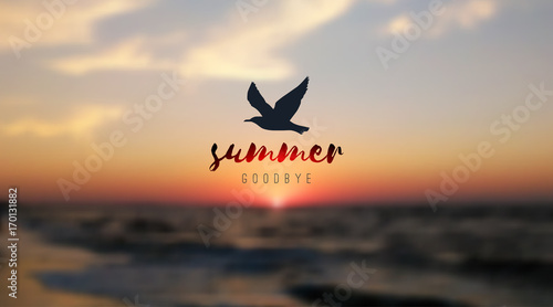 sunrise seascape and seagull