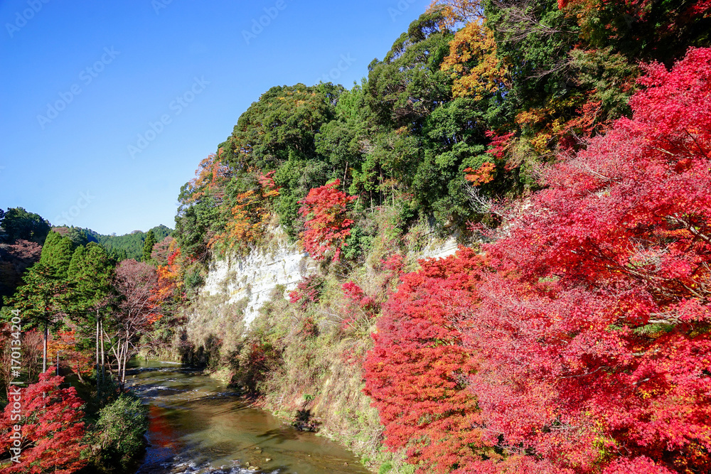 紅葉の秋 懸崖境