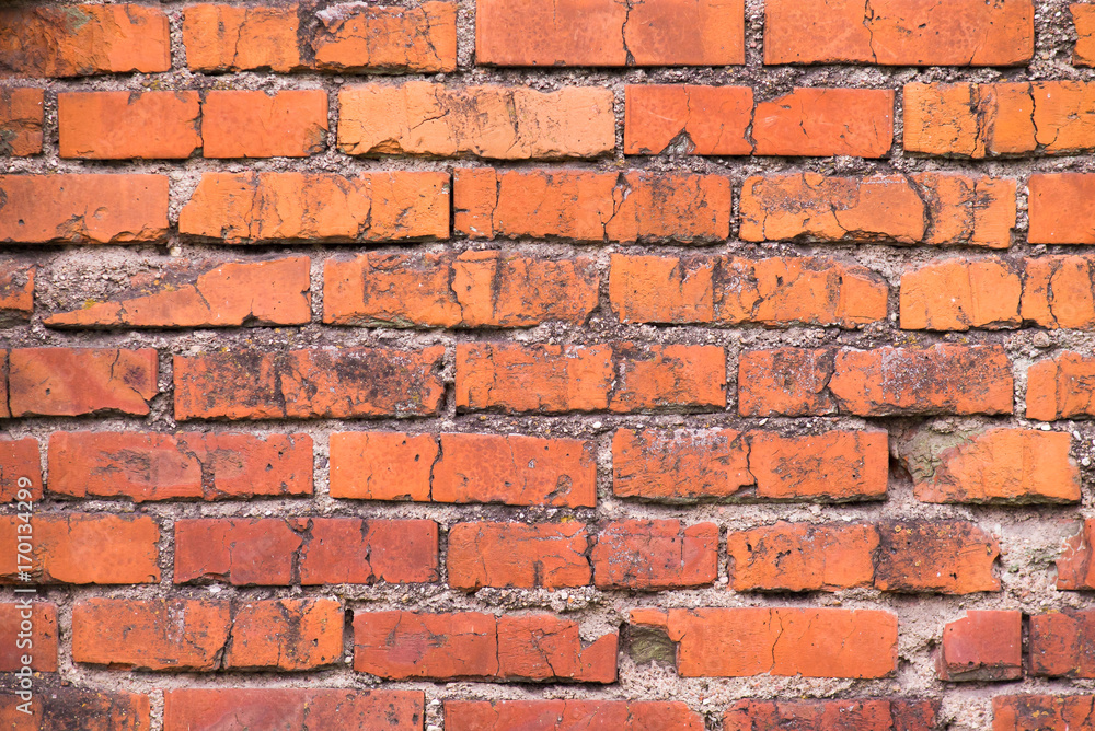 Obraz premium Old brick wall texture background