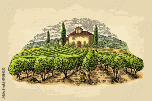 Rural landscape with villa, vineyard fields and hills. Vector engraving