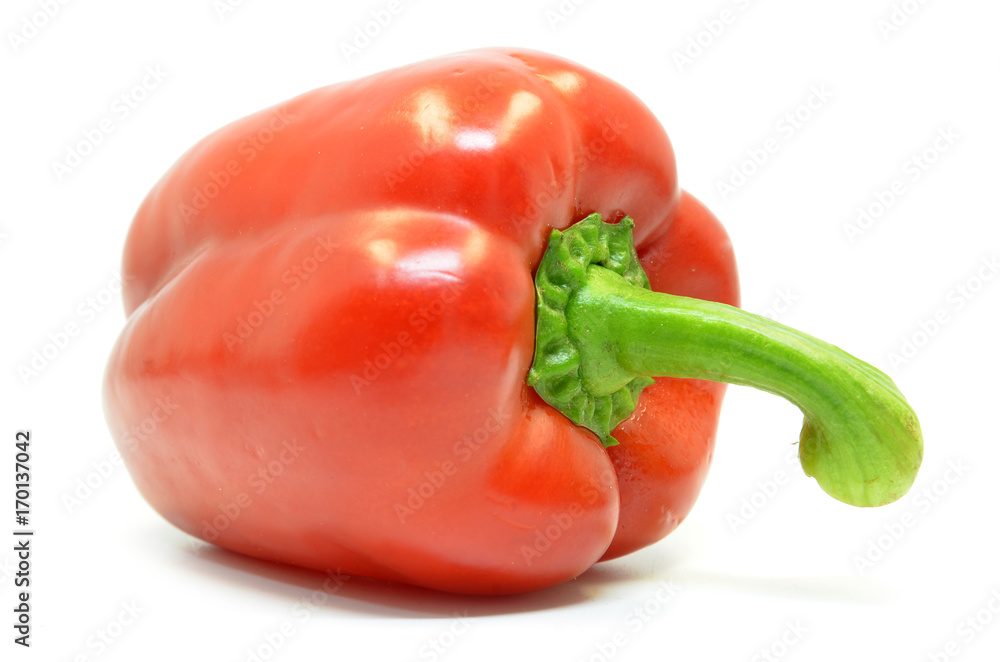 Single red pepper Single red pepper