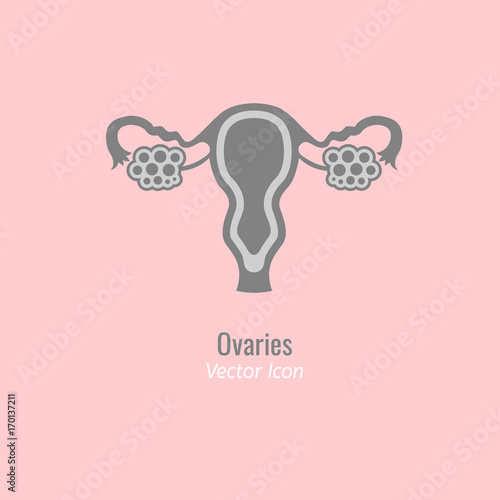 Ovary glands icon