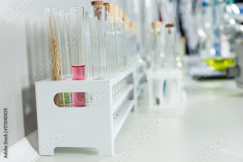 Close up of chemical test tubes in laboratory