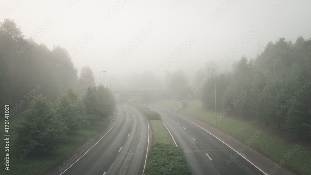 Fototapeta premium Morning Mist