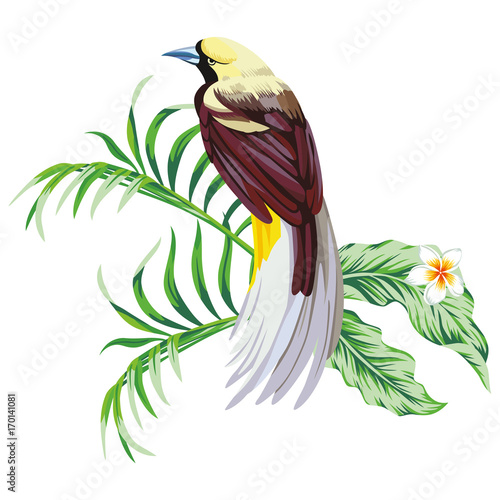 Tropical bird with plant print wallpaper