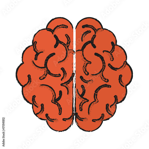 Brain icon of human organ and mind theme Isolated design Vector illustration
