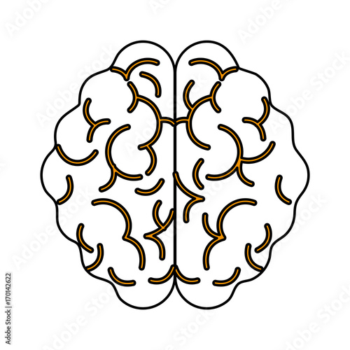Brain icon of human organ and mind theme Isolated design Vector illustration