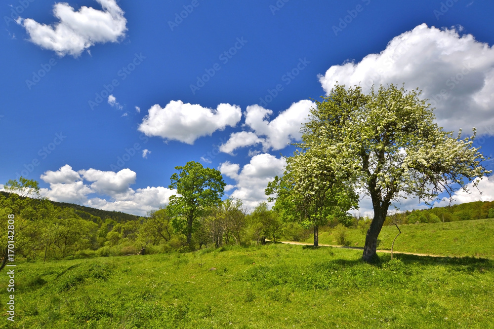 Beskid Niski at spring sunny day, Poland