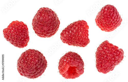 Group of delicious juicy forest raspberries. Collection of individual red fruits isolated on white background.