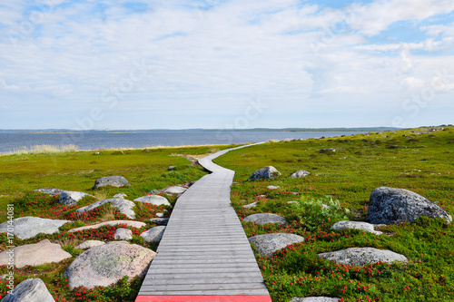 Tundra vegetation and a wooden walkway on the Bolshoi Zayatsky Island of the Solovetsky Archipelago, Russia.