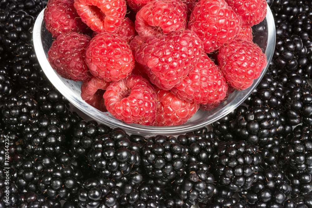 Contrast red and black fruity texture. Detail of juicy raspberries in a glass bowl on the blackberry background. Contrast red and black fruity texture. Detail of juicy raspberries in a glass bowl on the blackberry background.